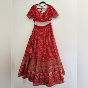 Red and Gold Embroidered Lehenga Choli